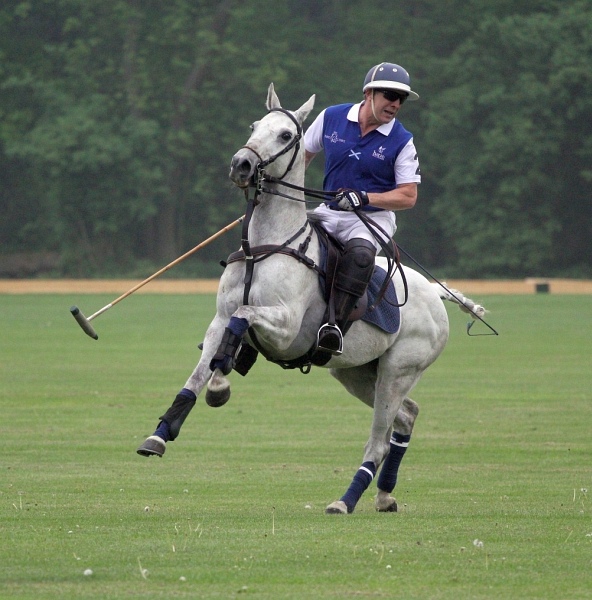 Polo_Art   019.jpg